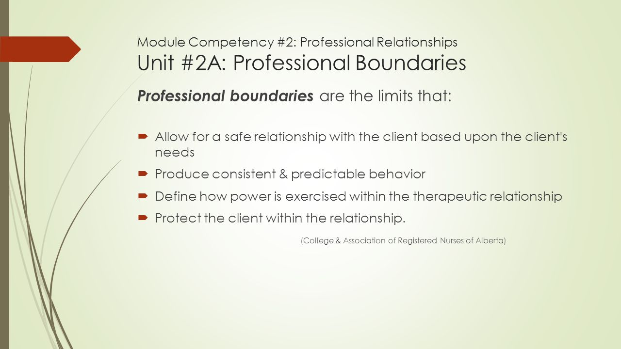 Professional Competencies and Boundaries: Importance of Knowing Your Role (Unit 2)